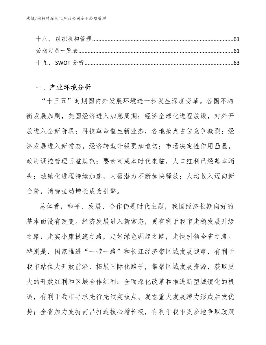 棉籽精深加工产品公司企业战略管理_参考_第2页