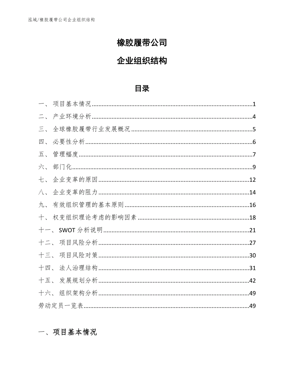 橡胶履带公司企业组织结构_第1页