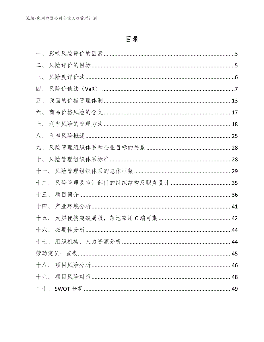 家用电器公司企业风险管理计划_范文_第2页