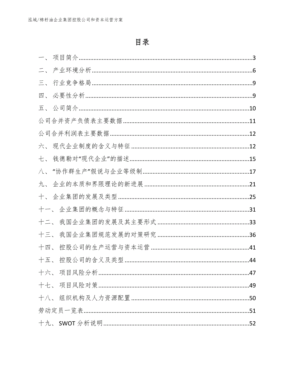 棉籽油企业集团控股公司和资本运营方案（参考）_第2页