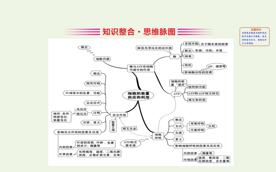 版新教材高中生物阶段复习课第5章细胞的能量供应和利用课件新人教版必修1_第2页