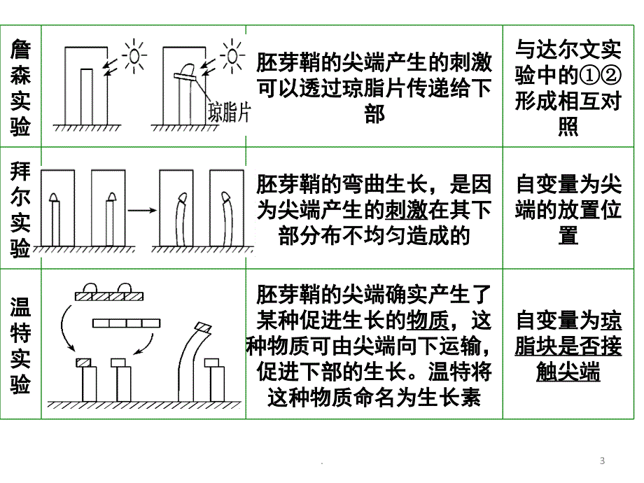 植物生长素一轮复习PPT精选文档_第3页