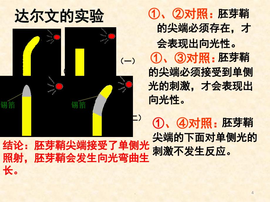 植物生长素一轮复习PPT精选文档_第4页