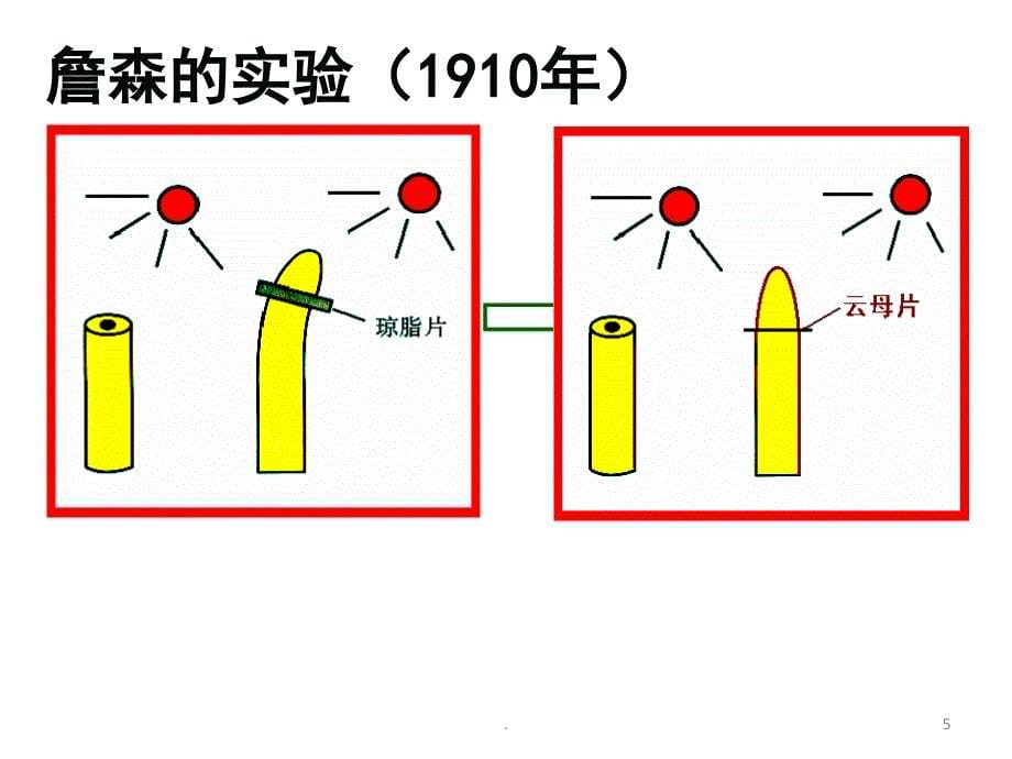 植物生长素一轮复习PPT精选文档_第5页