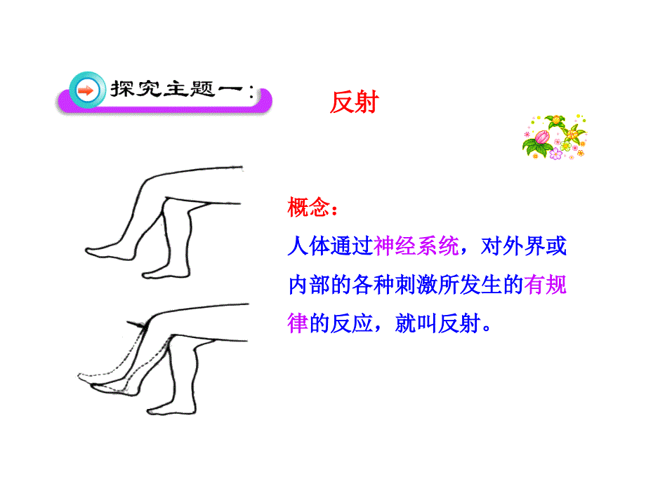 第3节神经调节的基本方式_第4页