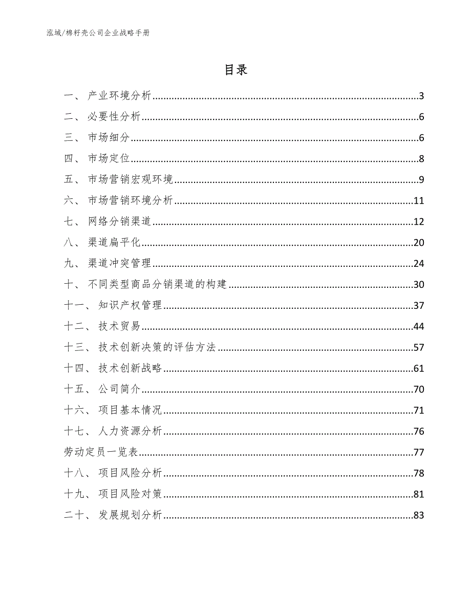 棉籽壳公司企业战略手册_第2页