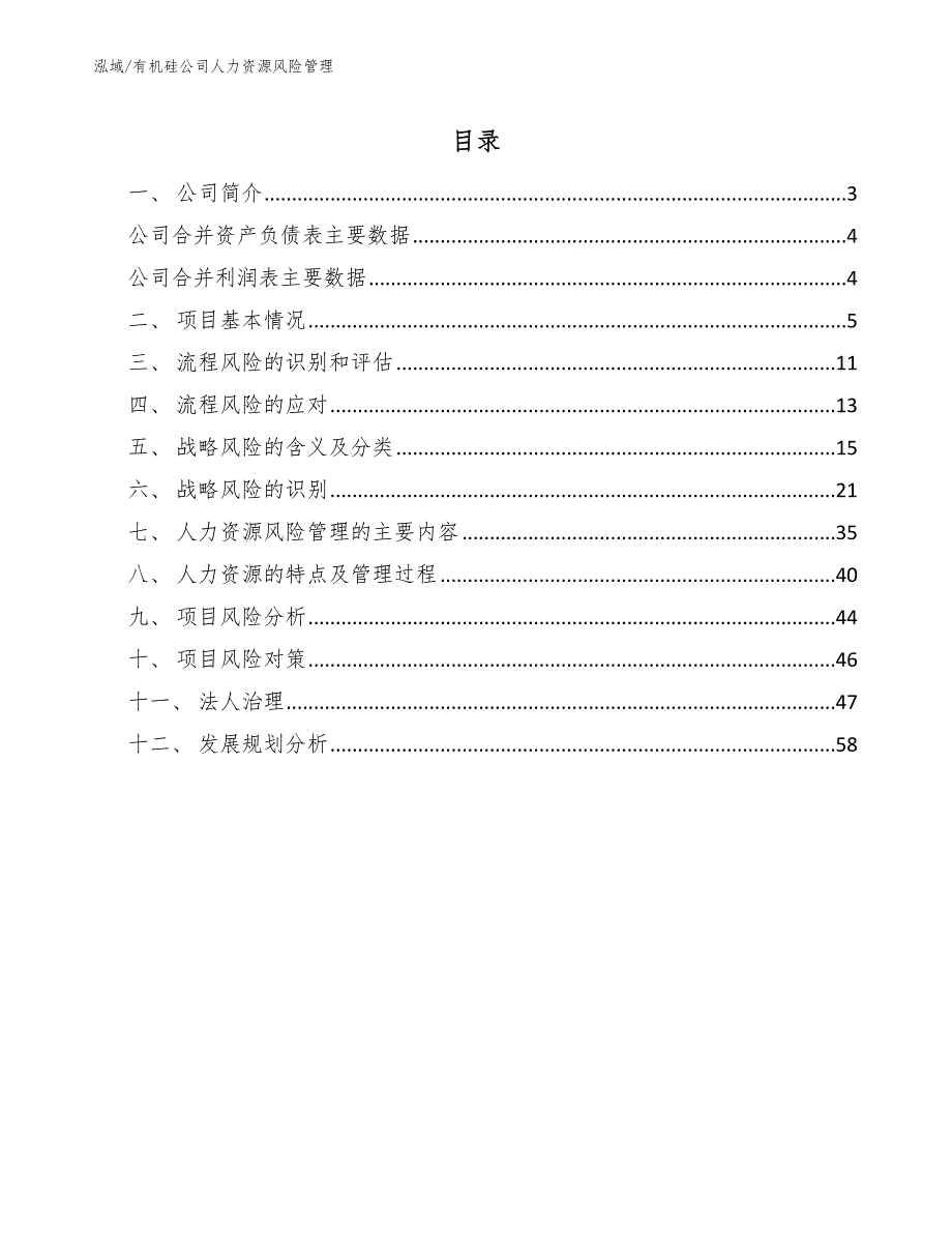 有机硅公司人力资源风险管理【参考】_第2页