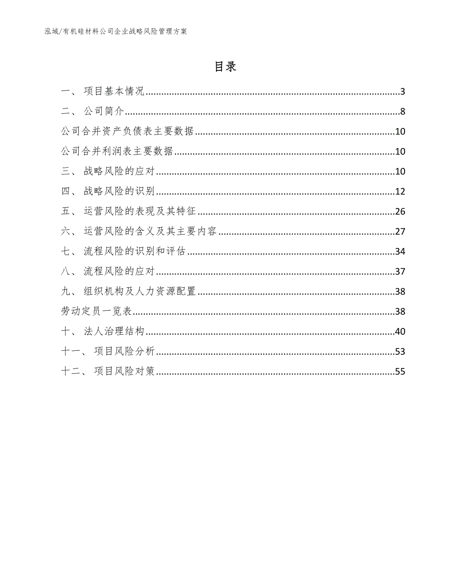 有机硅材料公司企业战略风险管理方案_范文_第2页