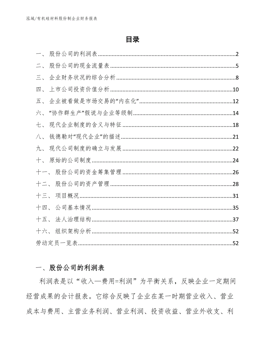 有机硅材料股份制企业财务报表【参考】_第2页