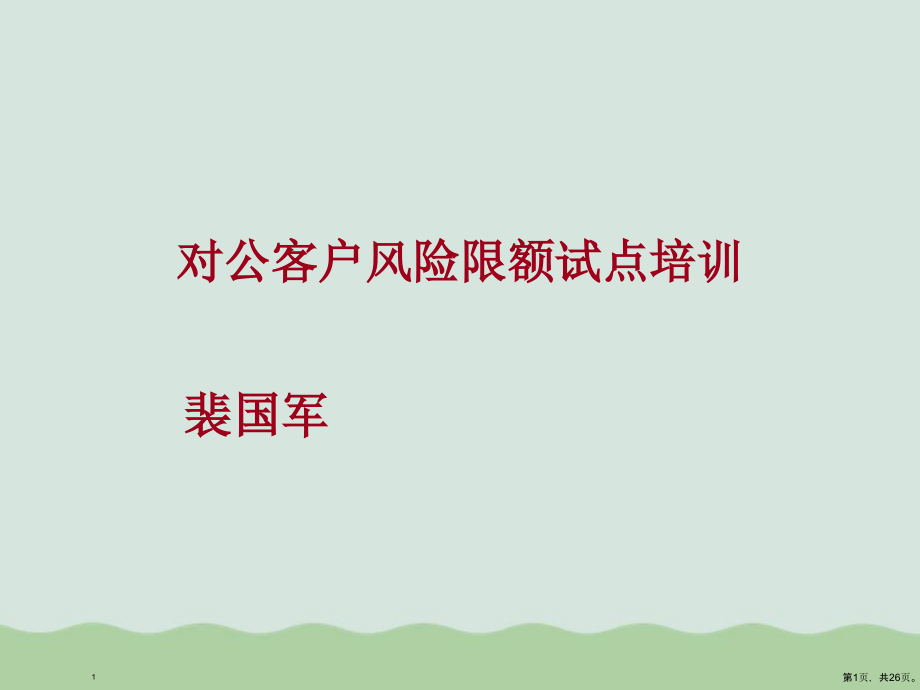对公客户风险限额试点培训课件_第1页