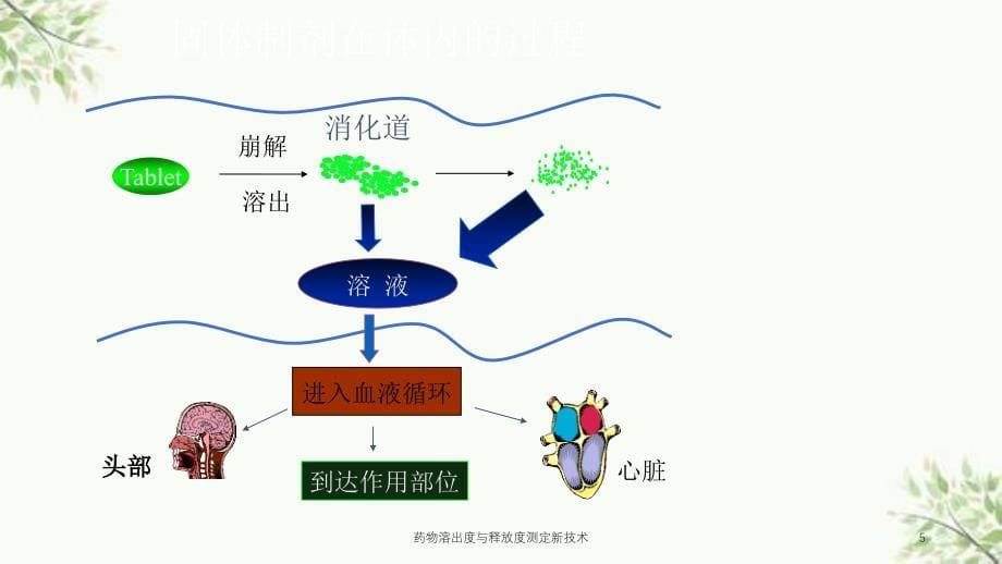 药物溶出度与释放度测定新技术课件_第5页