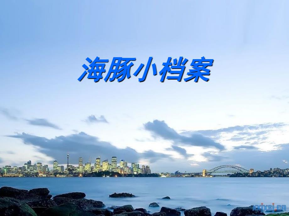 海豚小档案2课堂PPT_第1页