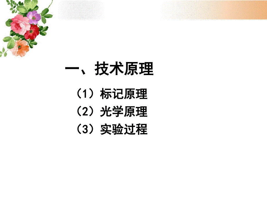 生物发光原理及应用课件_第3页