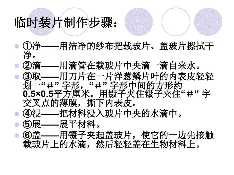 观察植物细胞质壁分离与复原.ppt_第5页