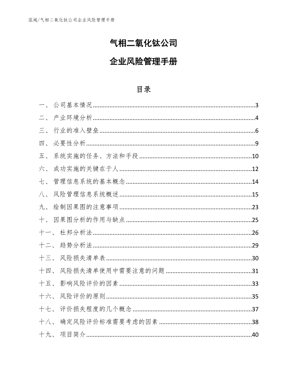 气相二氧化钛公司企业风险管理手册【参考】_第1页