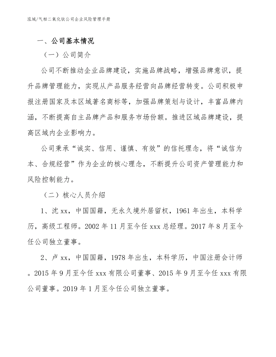 气相二氧化钛公司企业风险管理手册【参考】_第3页