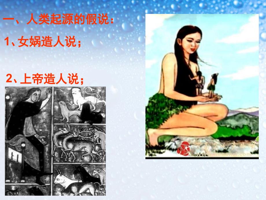 人类的起源和发展.ppt_第2页