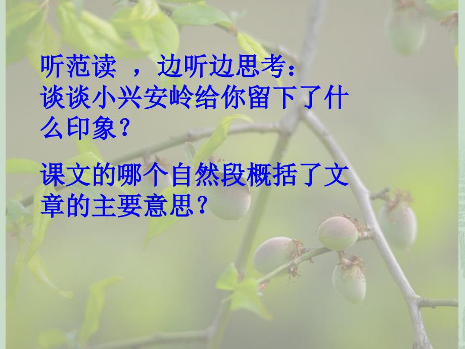 美丽的小兴安岭PPT课件_第2页