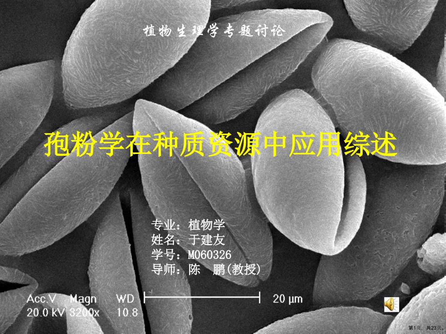 孢粉学在种质资源中应用综述课件_第1页