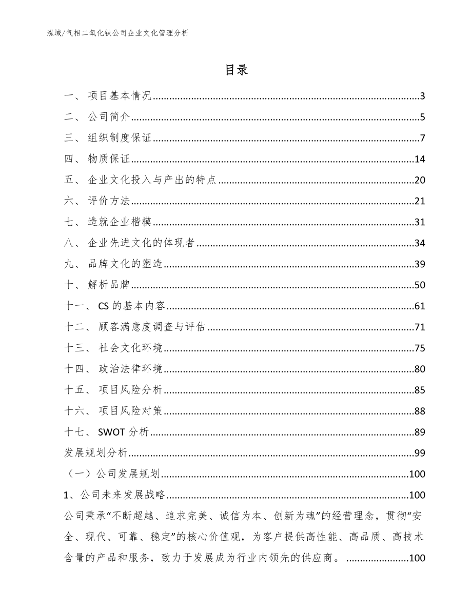 气相二氧化钛公司企业文化管理分析（范文）_第2页