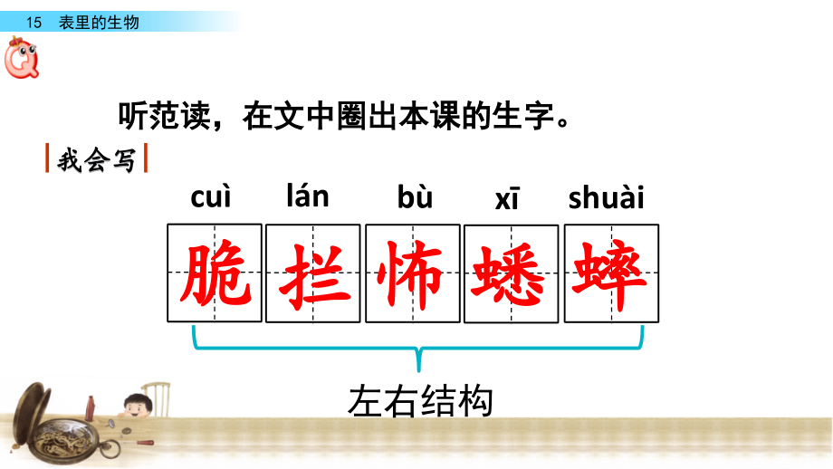 六年级下册语文ppt课件-表里的生物-人教(部编版)_第4页