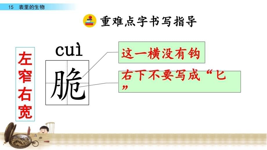 六年级下册语文ppt课件-表里的生物-人教(部编版)_第5页