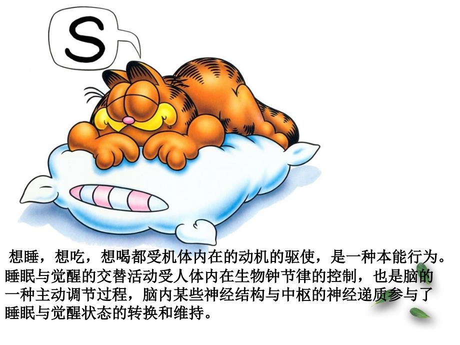 第四章 睡眠与觉醒_第2页