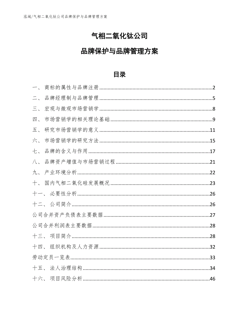 气相二氧化钛公司品牌保护与品牌管理方案（范文）_第1页