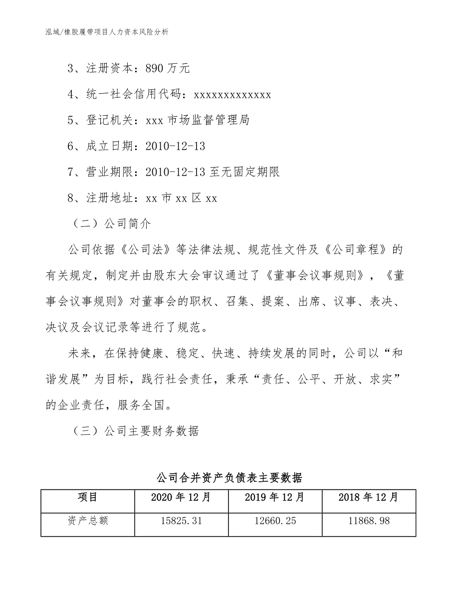 橡胶履带项目人力资本风险分析_第3页