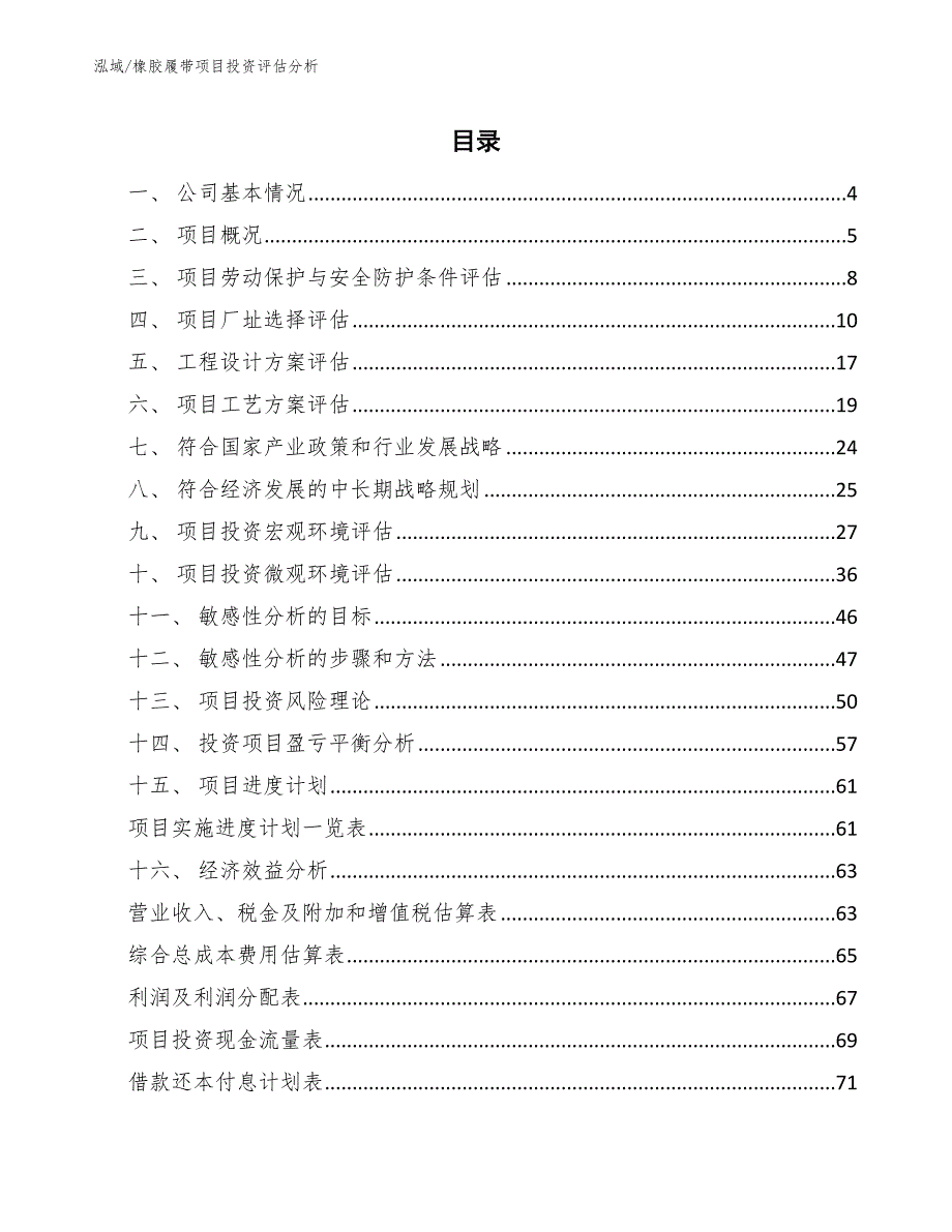 橡胶履带项目投资评估分析【范文】_第2页