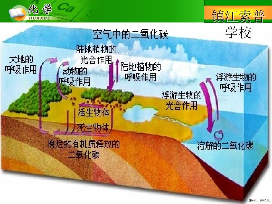 大自然中的二氧化碳教学课件鲁教版(452)_第4页