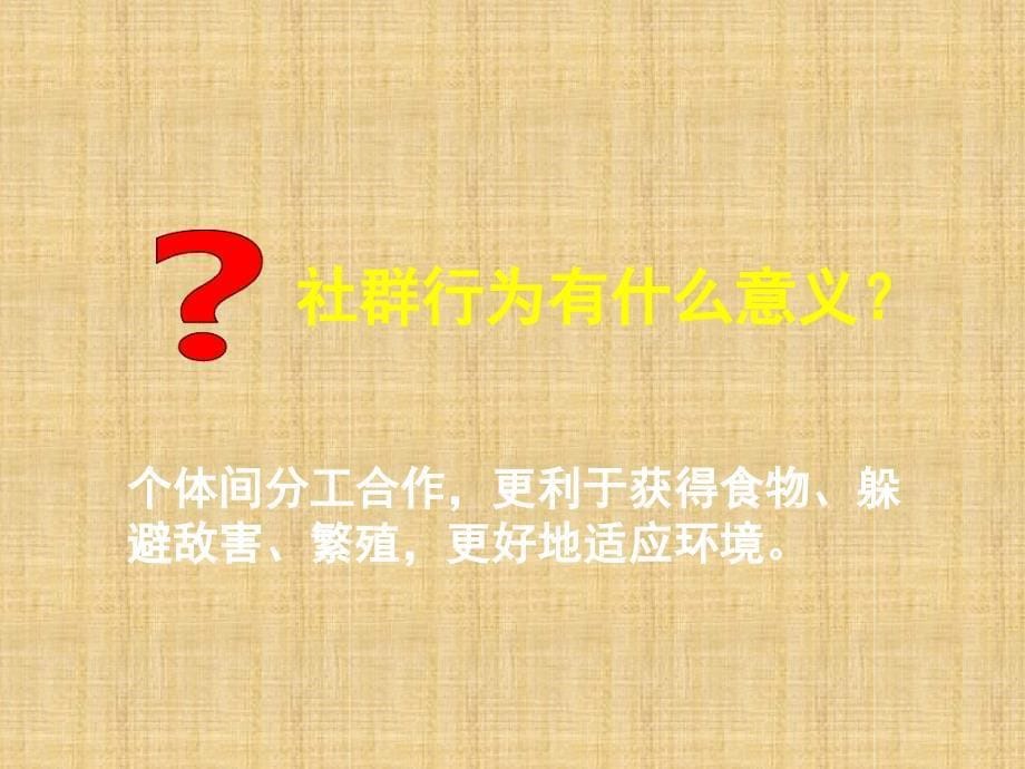 初中八年级生物上册第六单元第十八章第一节动物行为的主要类型名师优质课件新版苏教版_第5页