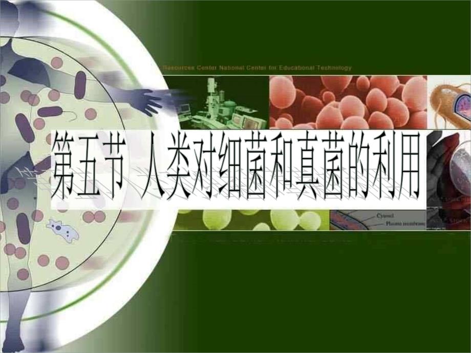 学期八年级生物上册 5.4.5 人类对细菌和真菌的利用课件 （新版）新人教版_第2页