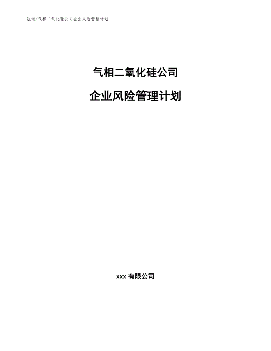 气相二氧化硅公司企业风险管理计划（参考）_第1页