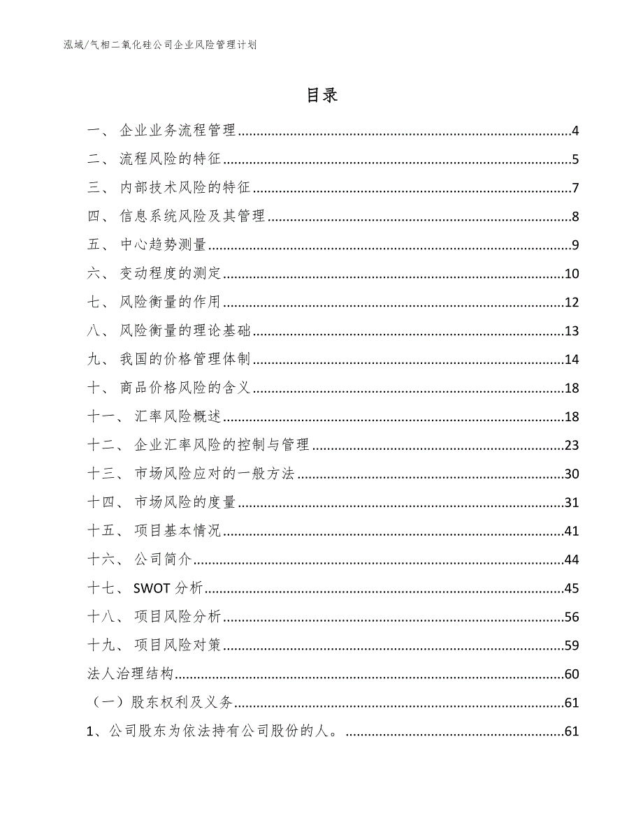 气相二氧化硅公司企业风险管理计划（参考）_第2页