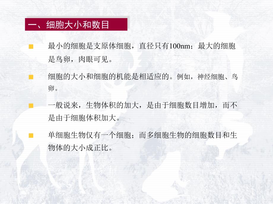 细胞和生物大分子2文档资料_第1页