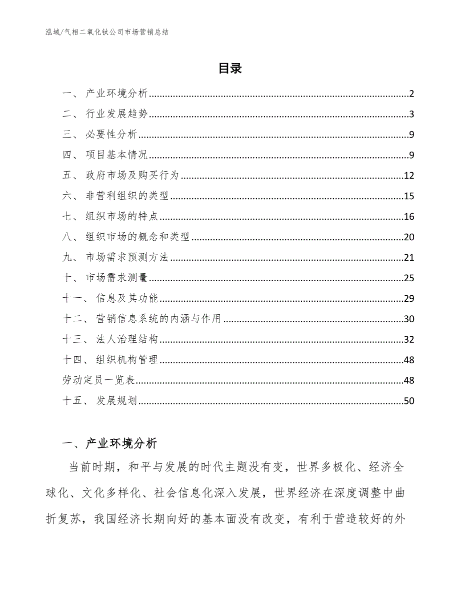 气相二氧化钛公司市场营销总结_第2页