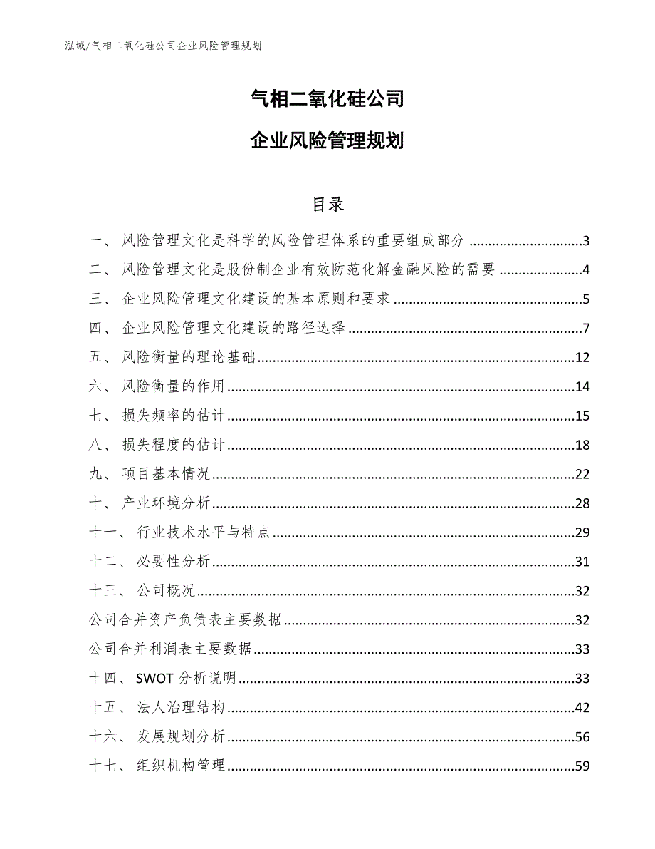 气相二氧化硅公司企业风险管理规划【参考】_第1页