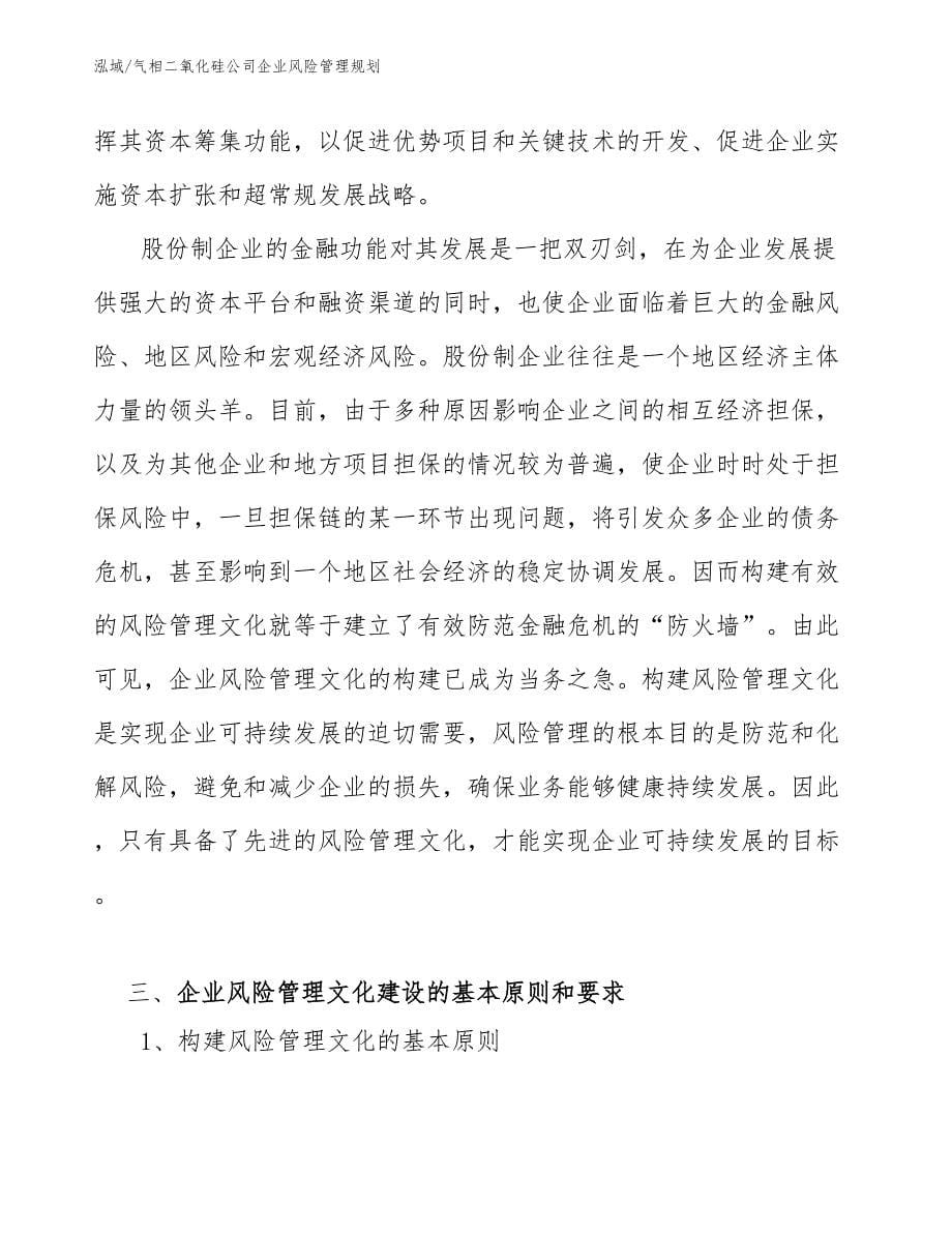 气相二氧化硅公司企业风险管理规划【参考】_第5页