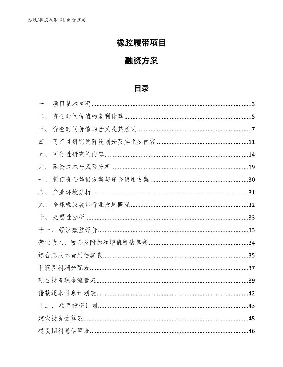 橡胶履带项目融资方案（范文）_第1页