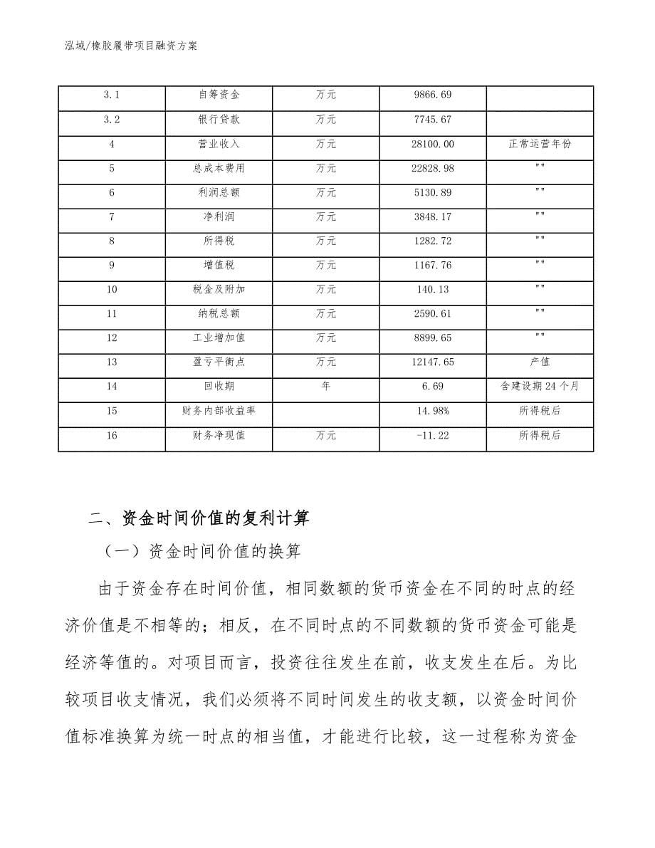 橡胶履带项目融资方案（范文）_第5页