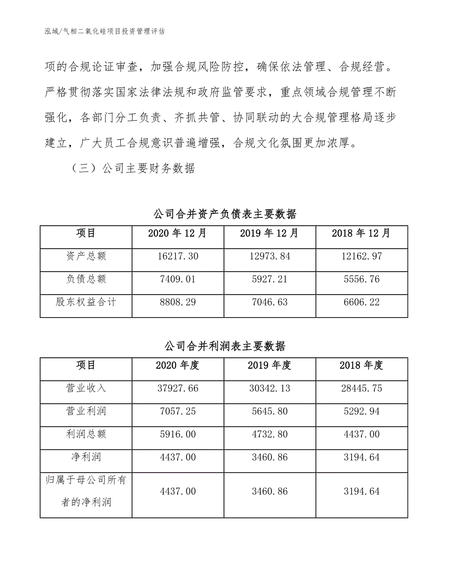 气相二氧化硅项目投资管理评估（参考）_第4页