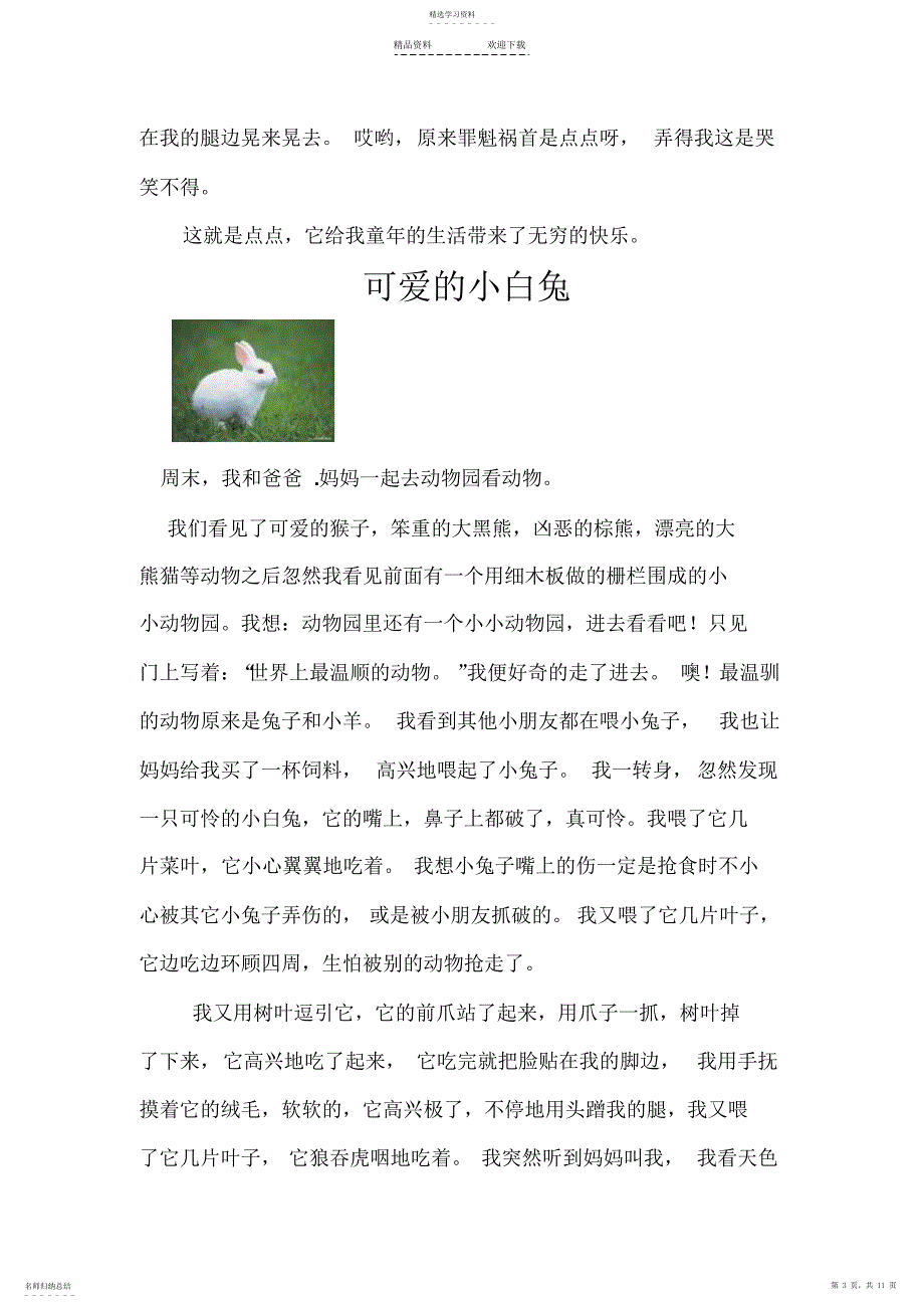 2022年描写小动物的作文_第3页