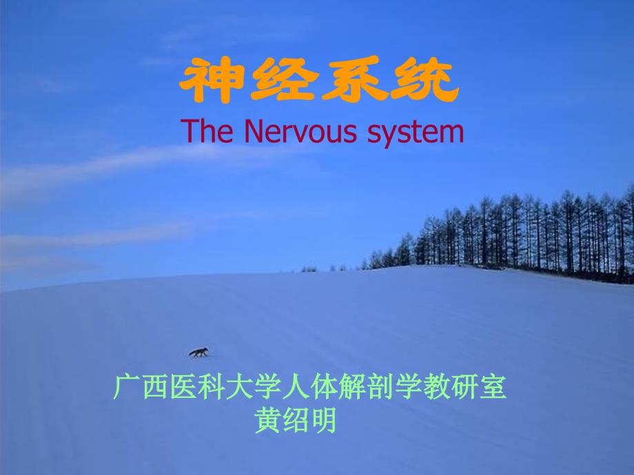 thenervoussystemgeneraldescription_第1页