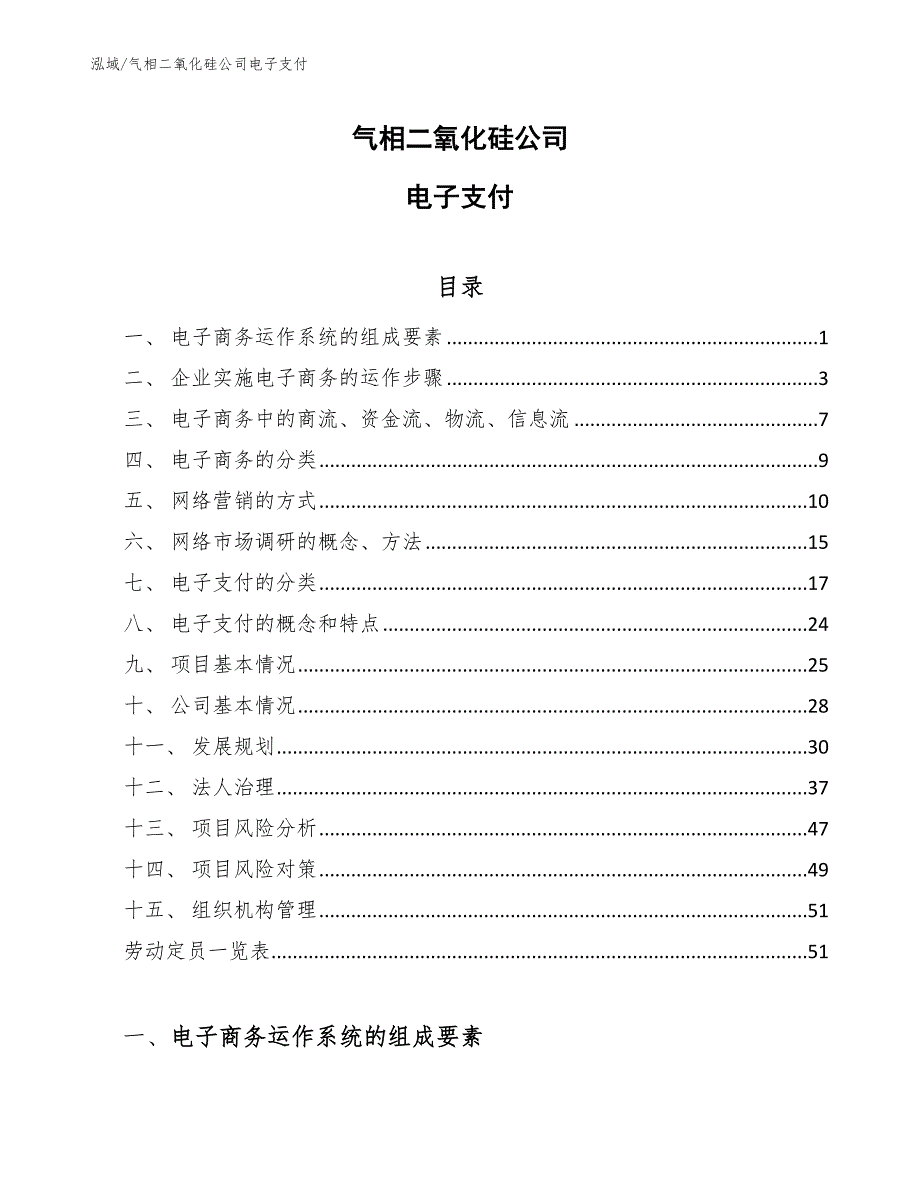 气相二氧化硅公司电子支付（范文）_第1页