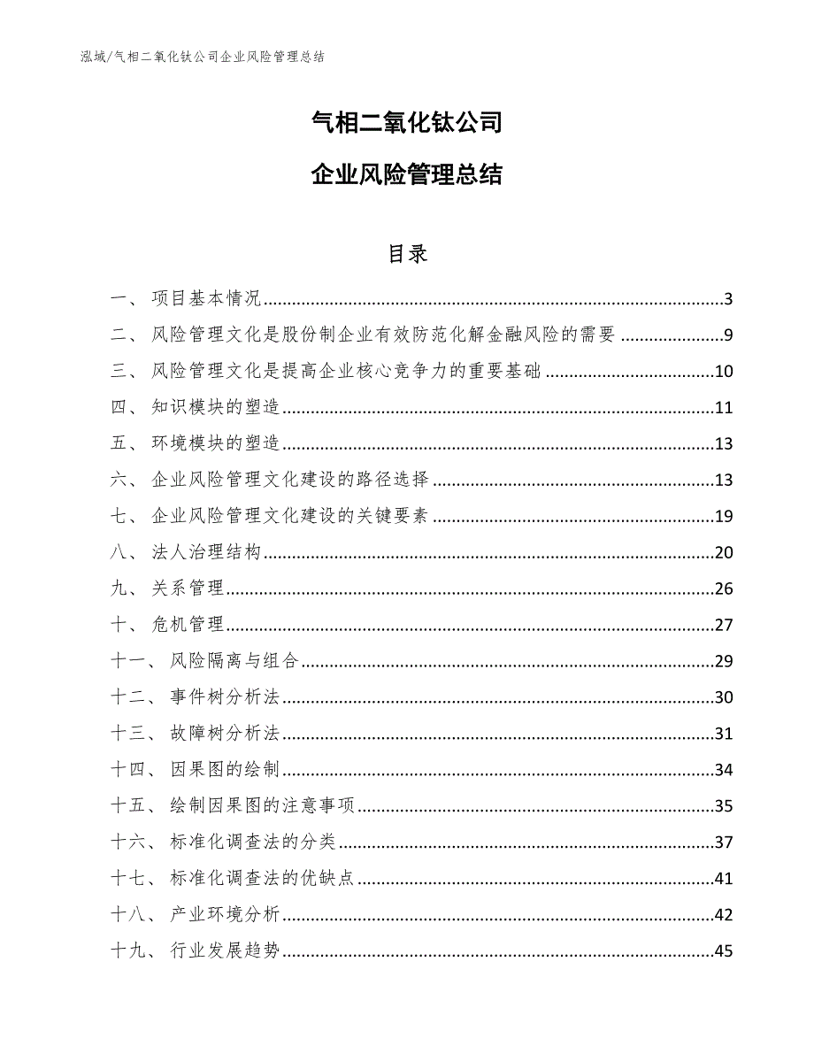 气相二氧化钛公司企业风险管理总结（范文）_第1页