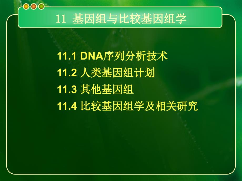 基因组与比较基因组学课件_第1页