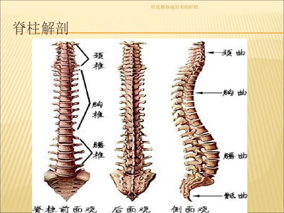 经皮椎体成形术的护理_第3页