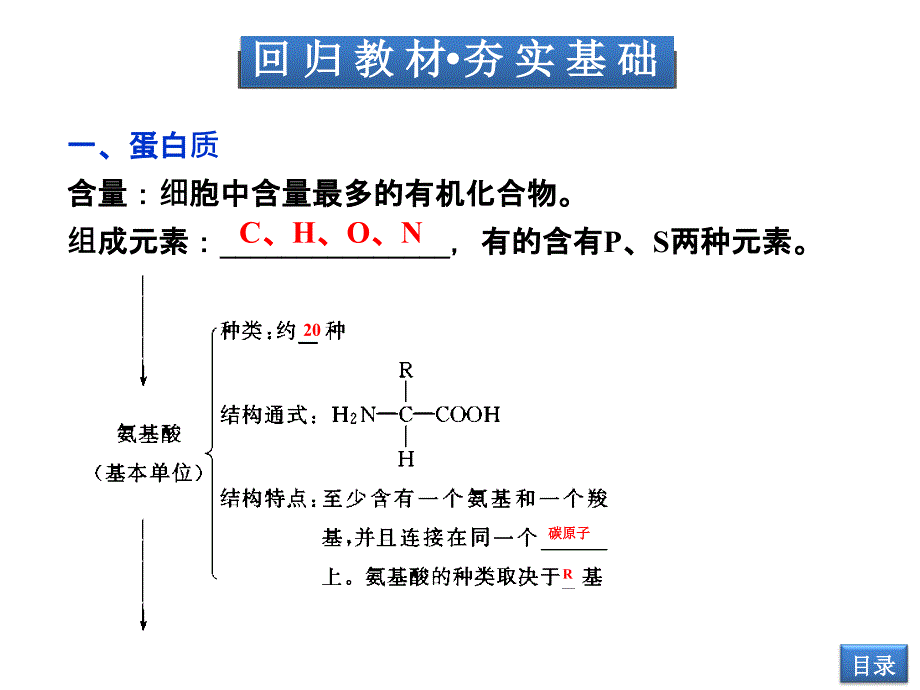 蛋白质核酸最新课件_第3页