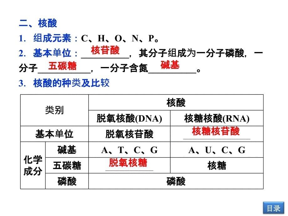 蛋白质核酸最新课件_第5页